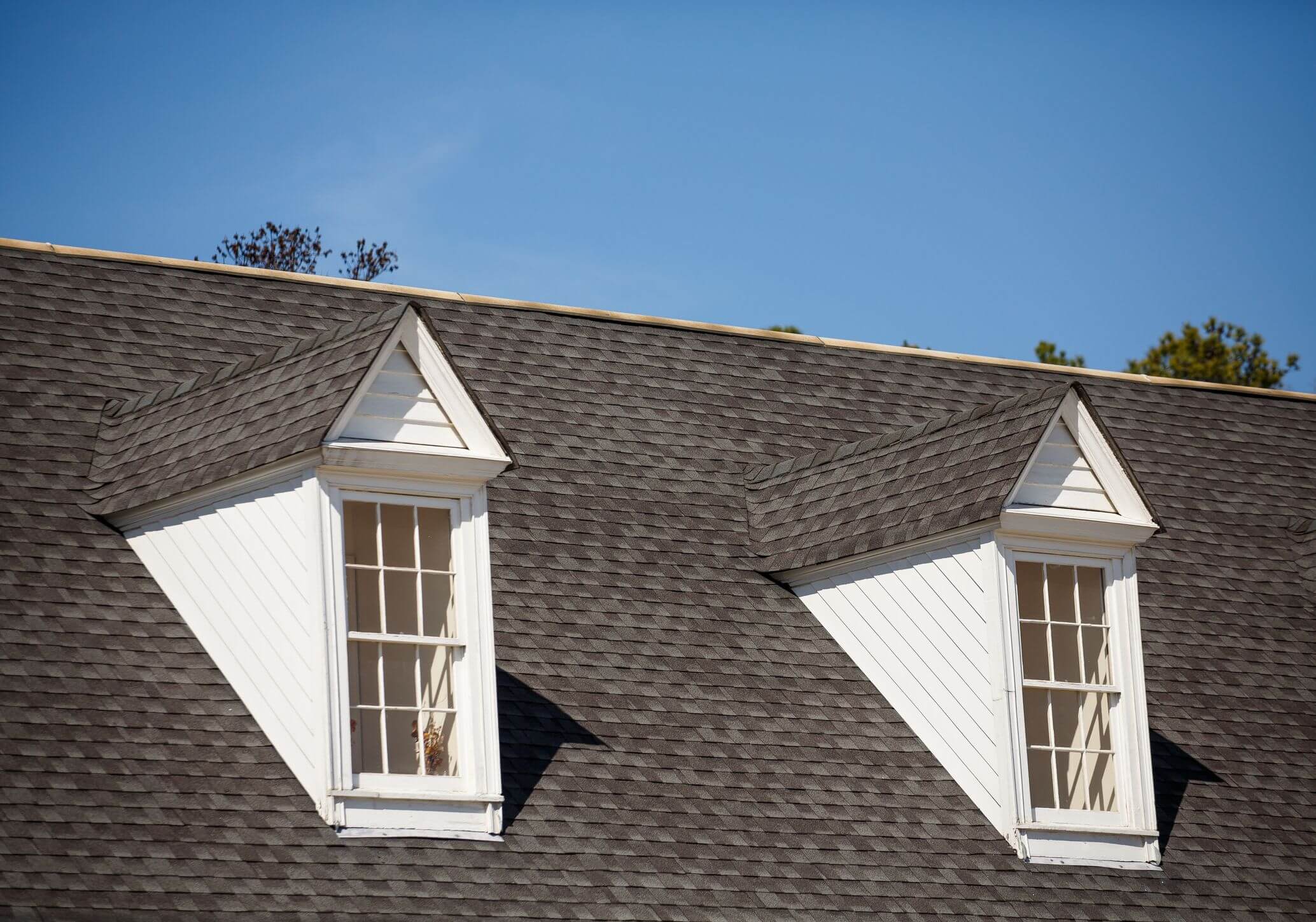 RainTech Roofing - asphalt roof